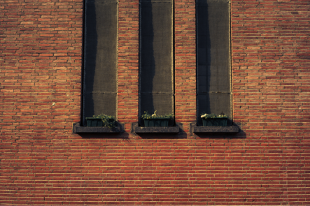 Lies, Damned Lies, And Non-Farm Payrolls