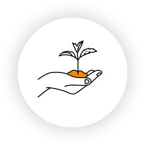 Grow